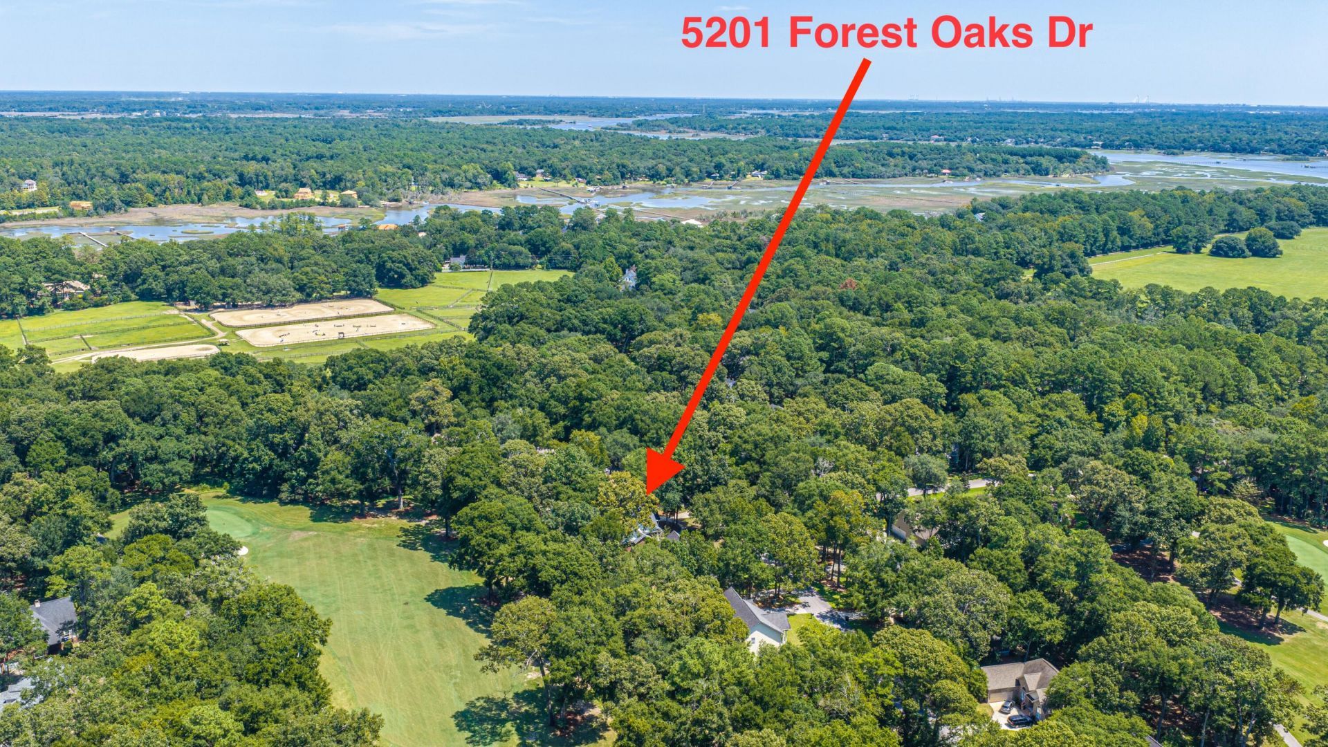 5201 Forest Oaks Drive Photo 48