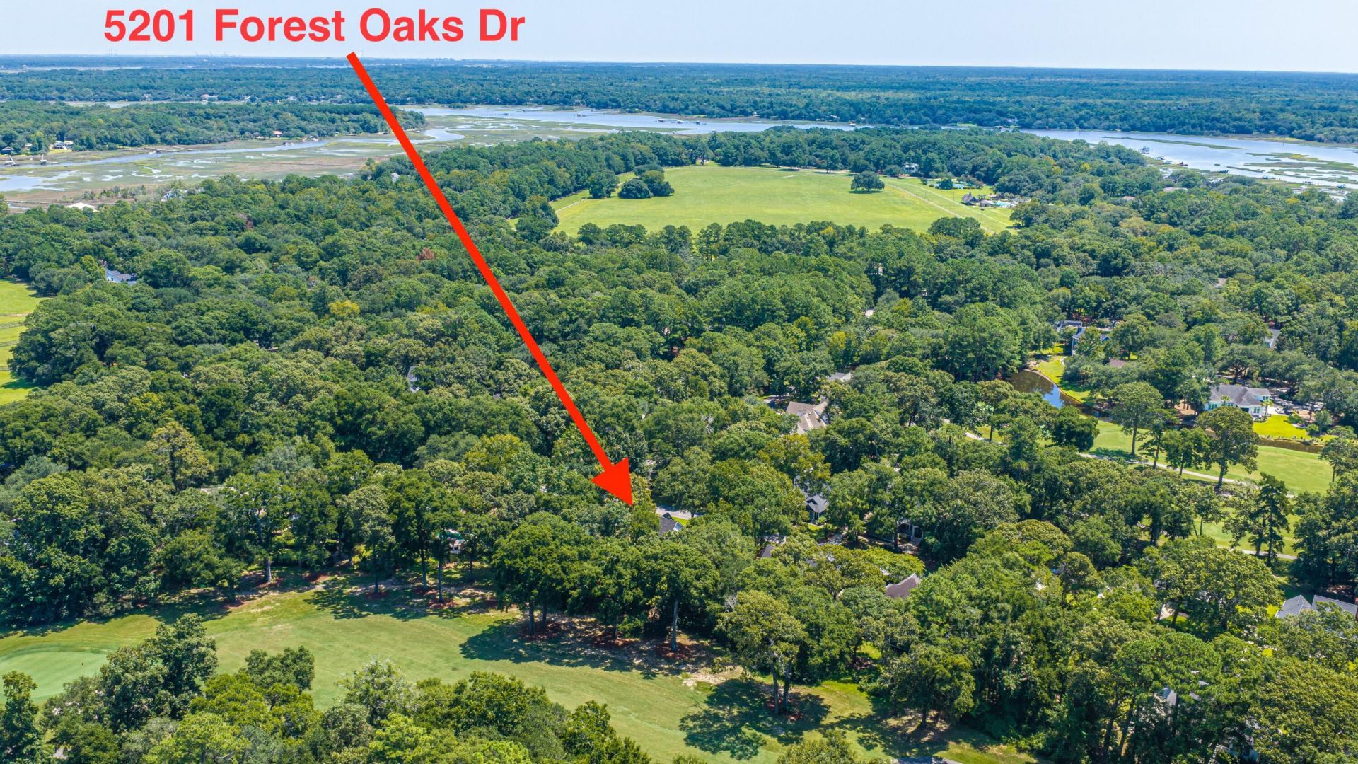 5201 Forest Oaks Drive Photo 49