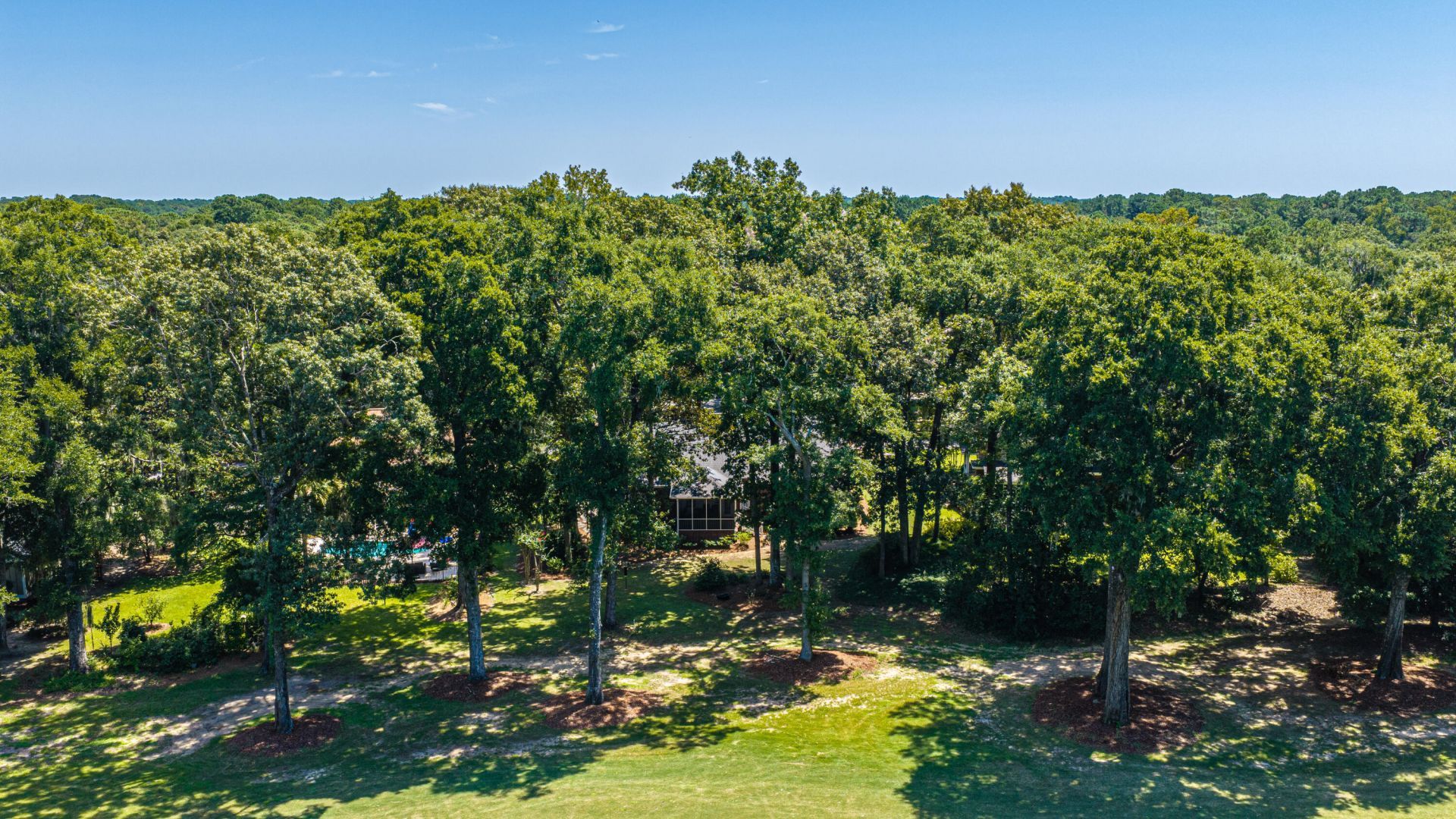 5201 Forest Oaks Drive Photo 56