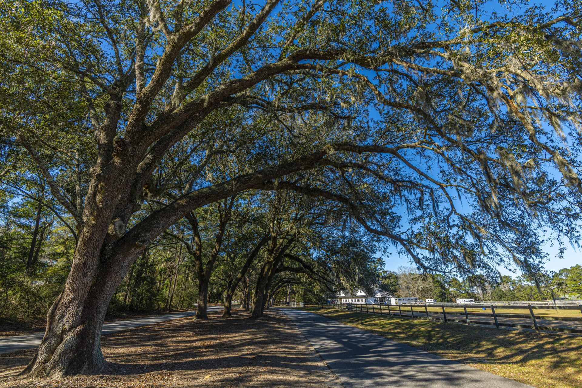 5201 Forest Oaks Drive Photo 60