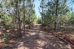 Btf 7 Bradley Trail  photo 4