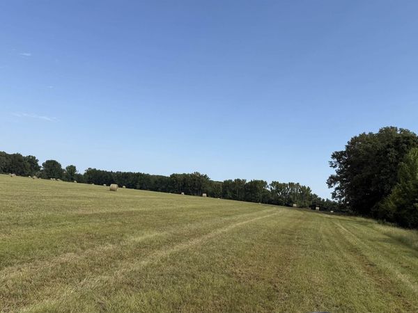 Lonoke, AR 72086