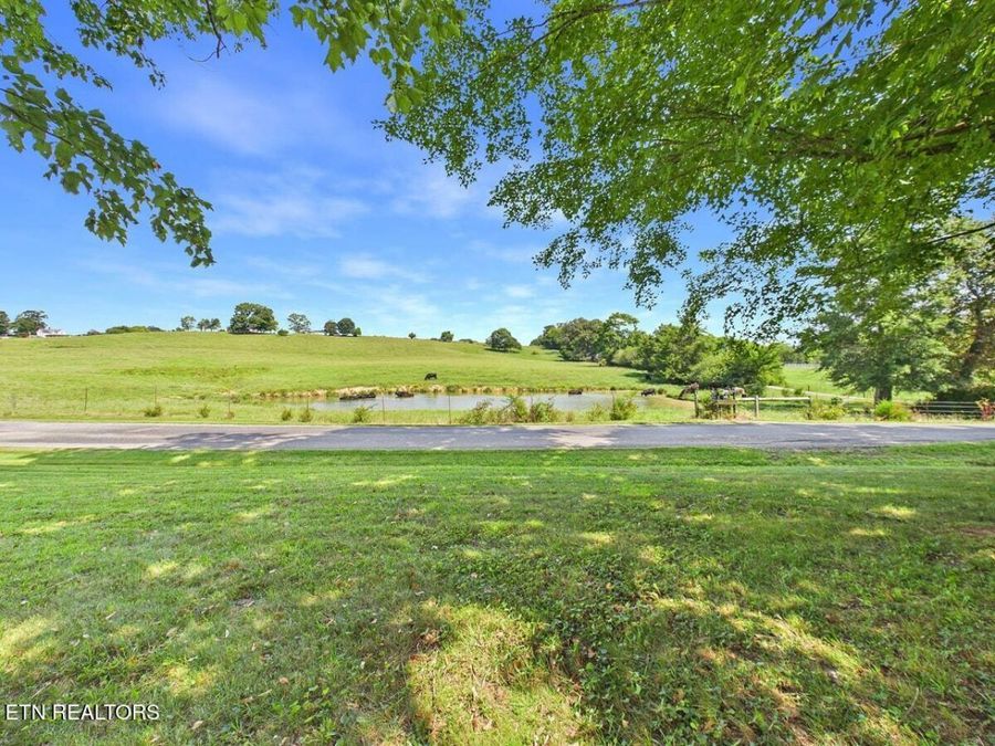 Property Image 48