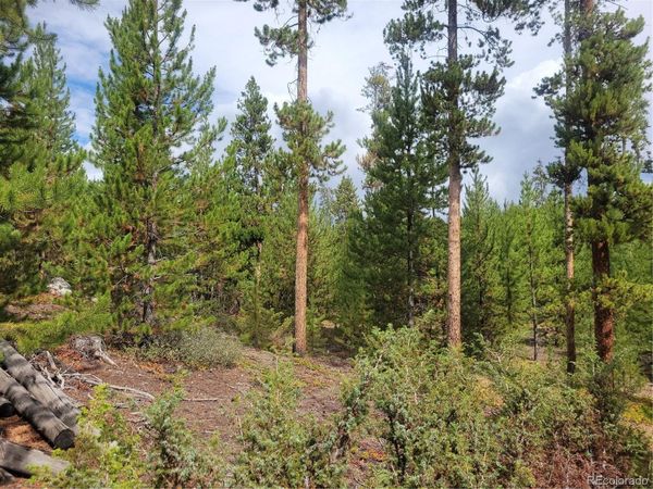 65 Grand County Road 6621 , Grand Lake, CO 80447