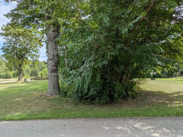 0 Delano Street, Romulus, MI 48174