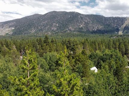 3717 Osgood Avenue, South Lake Tahoe, CA 96150 Photo