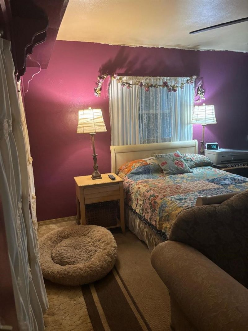 2443 66th Terrace S, Saint Petersburg, FL 33712 Photo