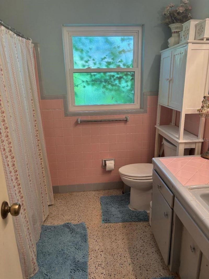 2443 66th Terrace S, Saint Petersburg, FL 33712 Photo