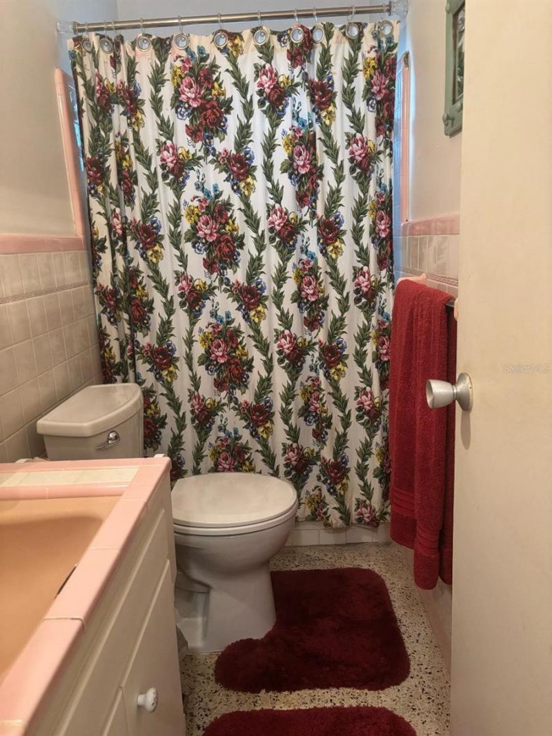 2443 66th Terrace S, Saint Petersburg, FL 33712 Photo