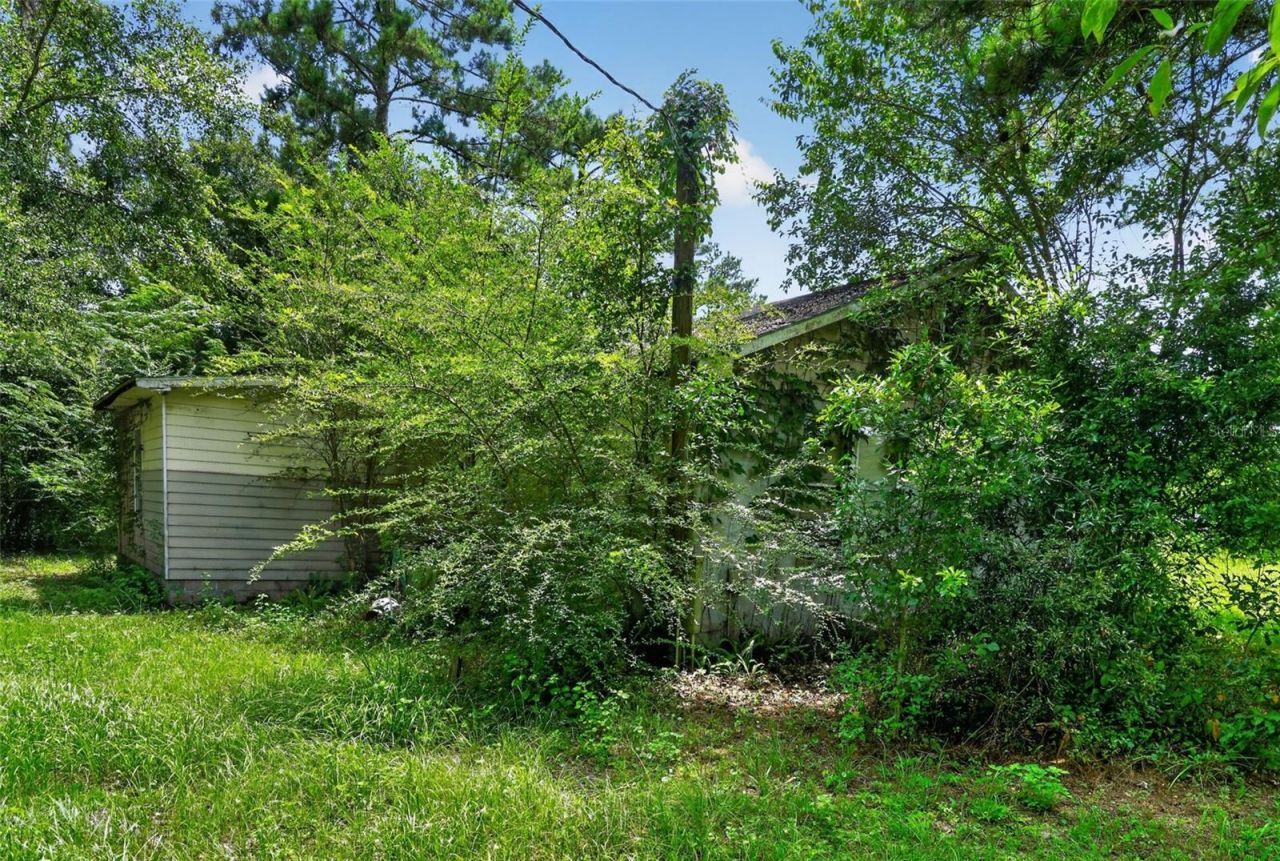 119 Chambliss Road, Havana, FL 32333 Photo