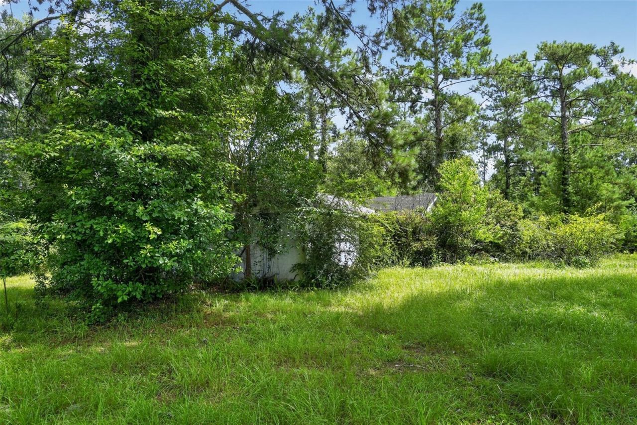 119 Chambliss Road, Havana, FL 32333 Photo