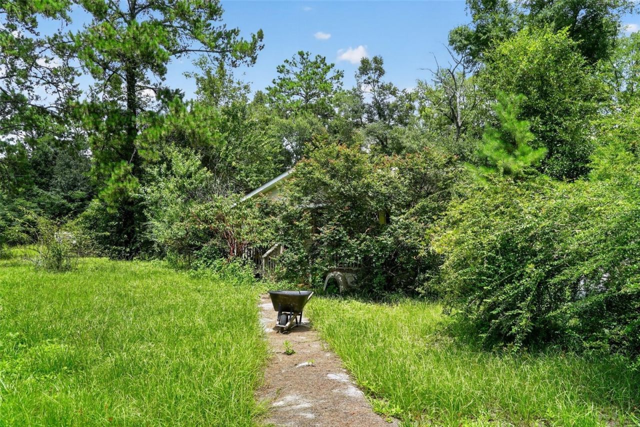 119 Chambliss Road, Havana, FL 32333 Photo