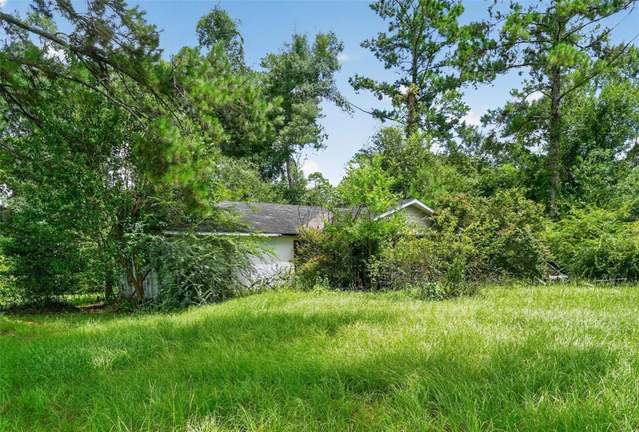 119 Chambliss Road, Havana, FL 32333 Photo