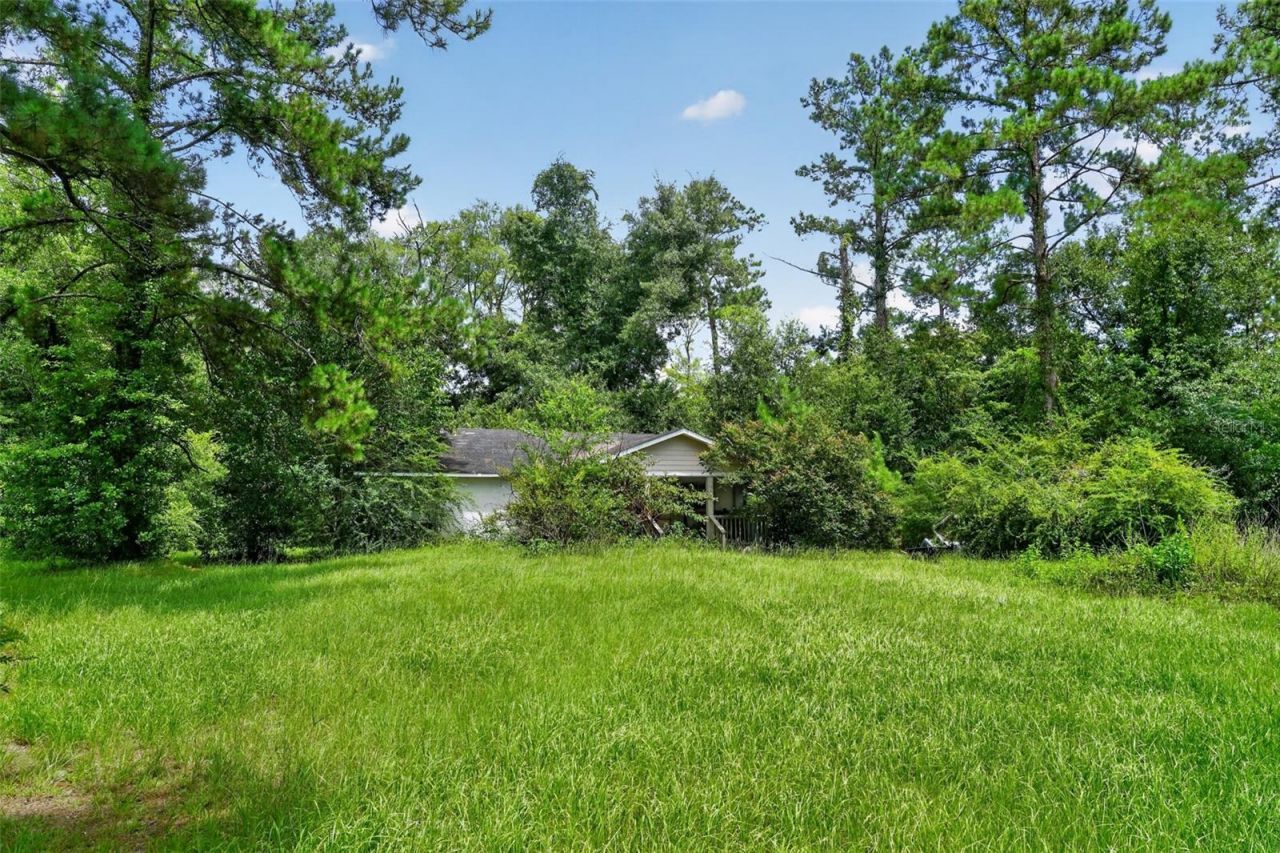 119 Chambliss Road, Havana, FL 32333 Photo