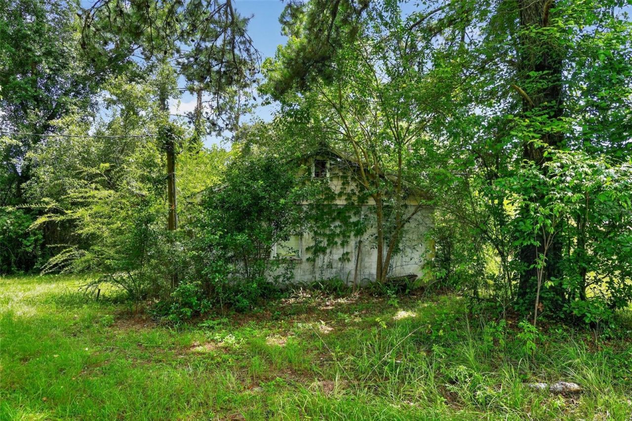 119 Chambliss Road, Havana, FL 32333 Photo