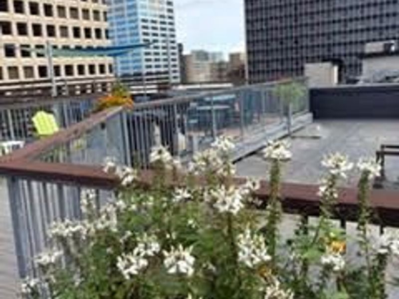 110 N 3rd Street, Unit 703, Columbus, OH 43215 Photo 13