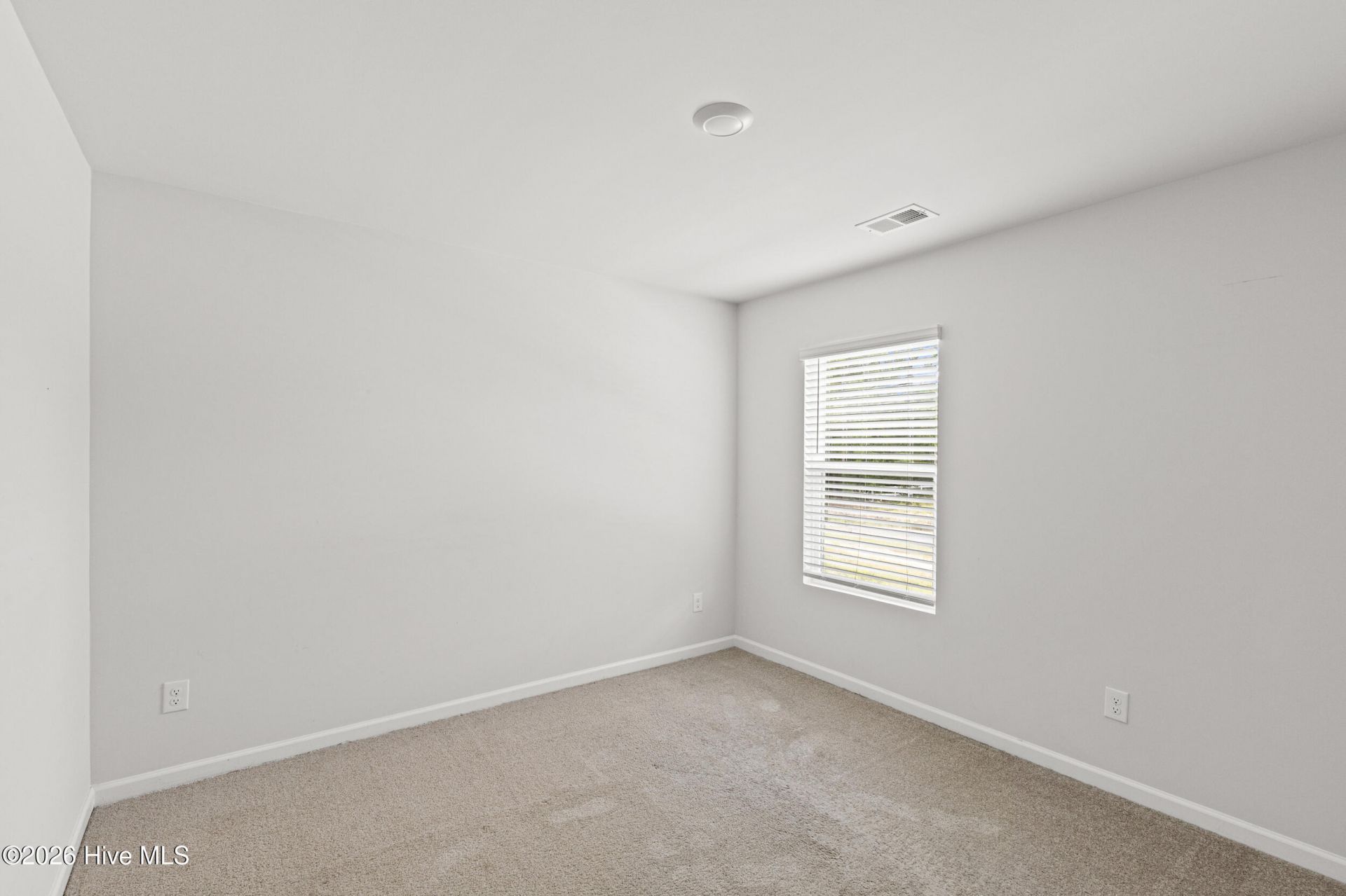 2943 Calli Crossing Drive Photo 30