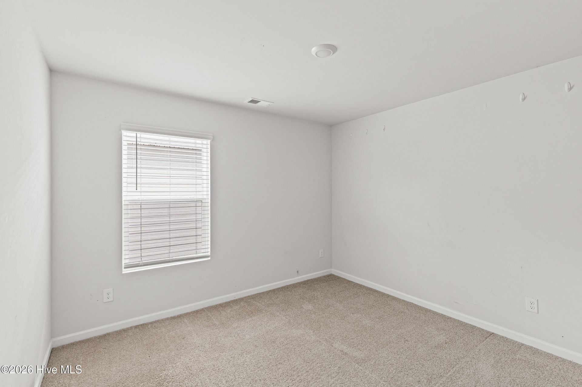 2943 Calli Crossing Drive Photo 34
