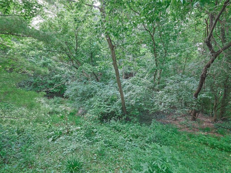 520 Missouri Avenue, Cincinnati, OH 45226 Photo 38