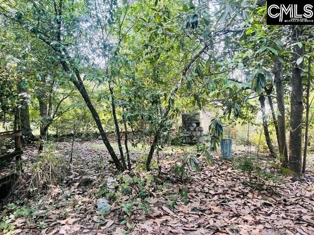 215 Greenwood Road  Photo 8