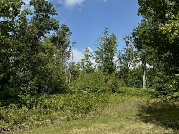 V/L 10AC W Townline Road, Grayling, MI 49738