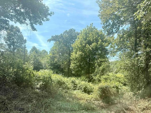 24 acres County Road 1825, Arab, AL 35016
