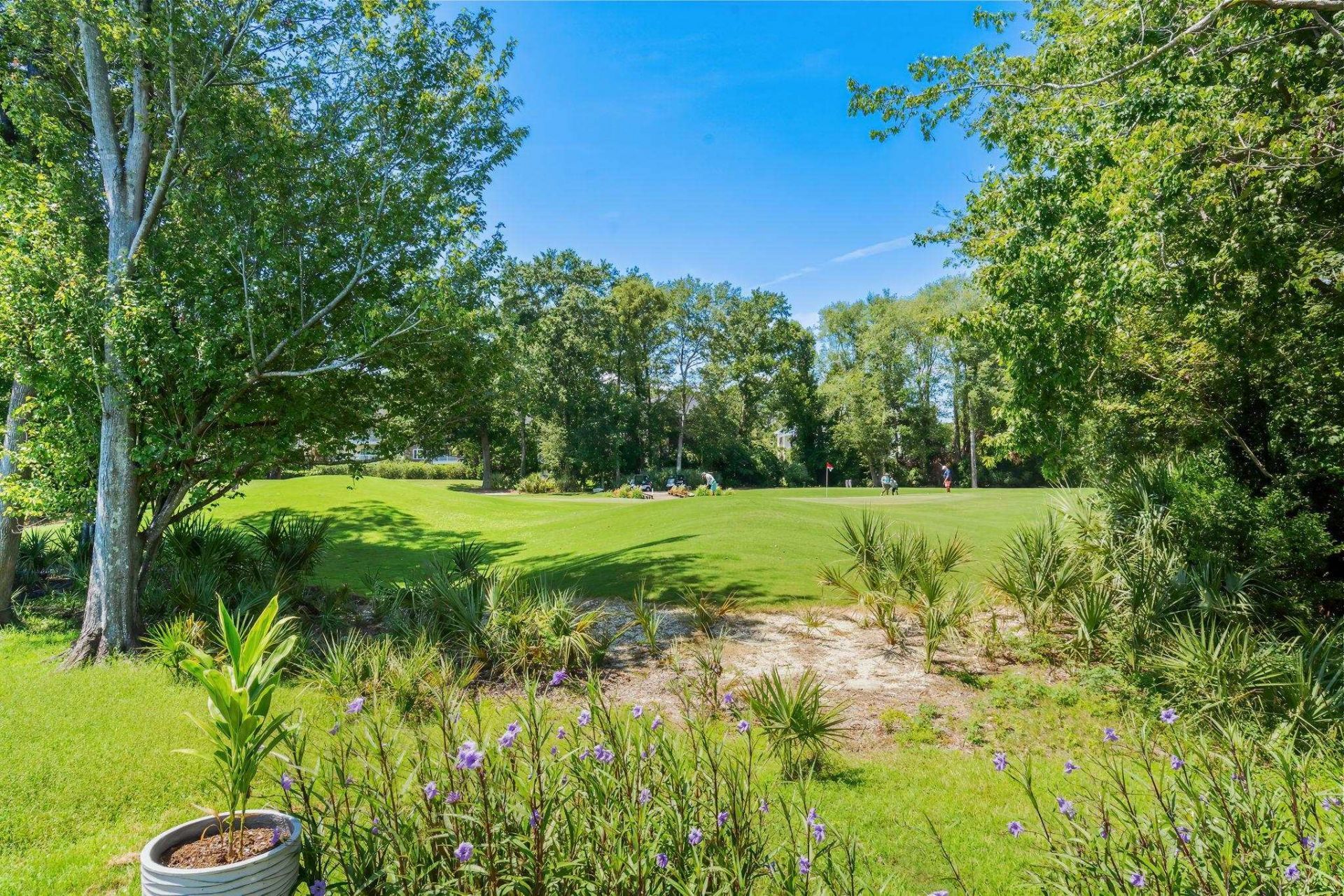 467 Pomo Dr. Photo 45