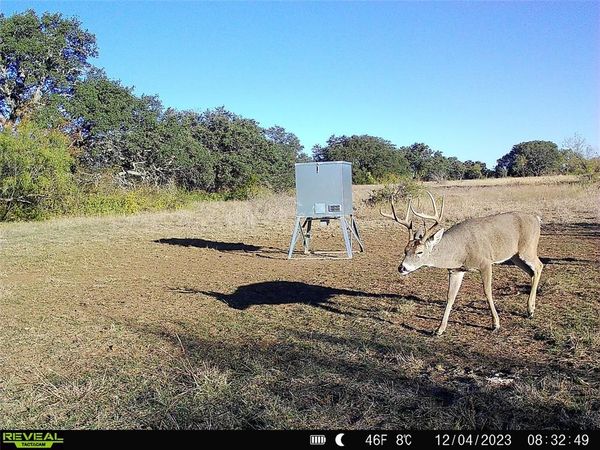 11 County Road 191 , Mullin, TX 76864