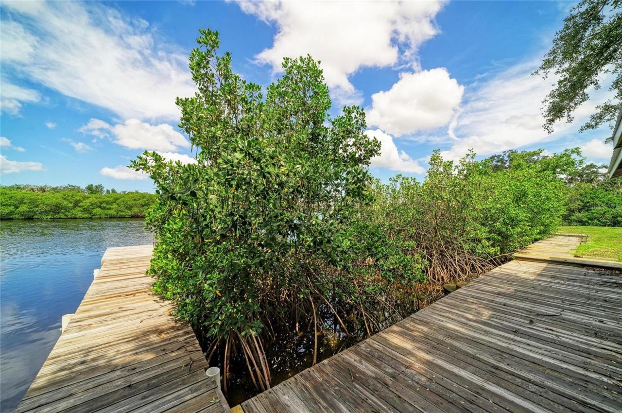 1609 Saffold Park Drive , Ruskin, FL 33570 Photo