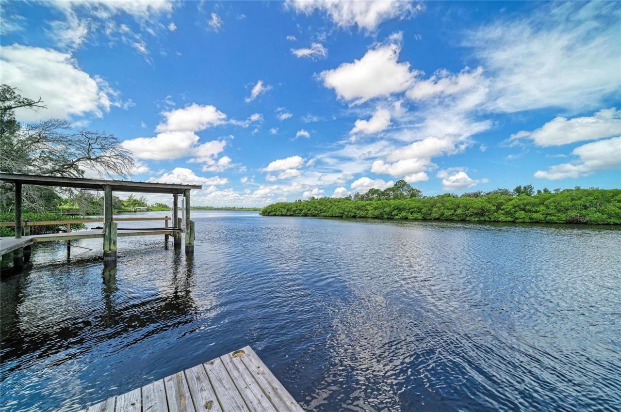 1609 Saffold Park Drive , Ruskin, FL 33570 Photo