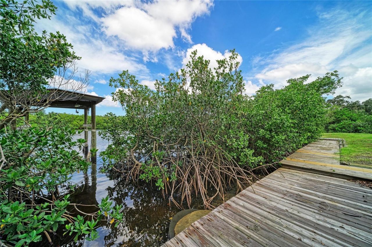1609 Saffold Park Drive , Ruskin, FL 33570 Photo