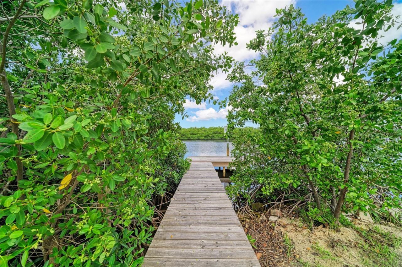 1609 Saffold Park Drive , Ruskin, FL 33570 Photo