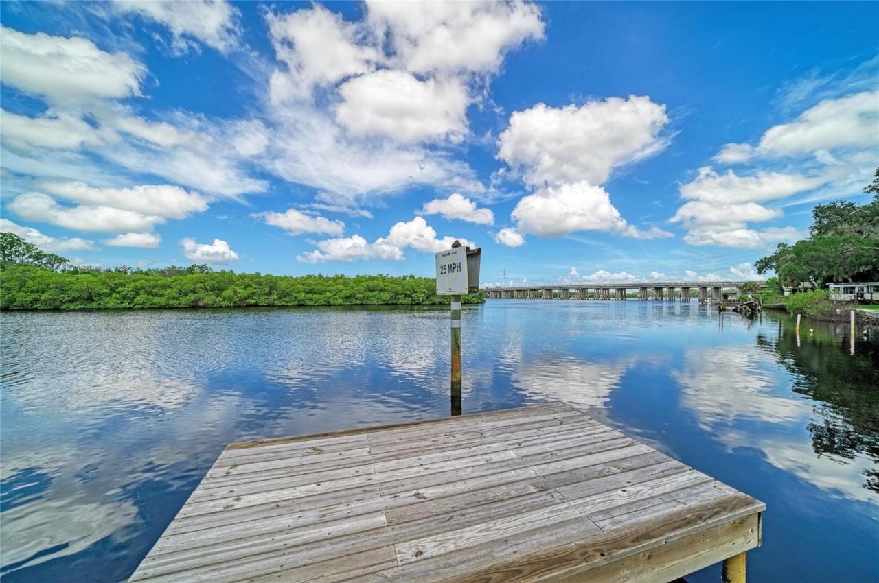 1609 Saffold Park Drive , Ruskin, FL 33570 Photo
