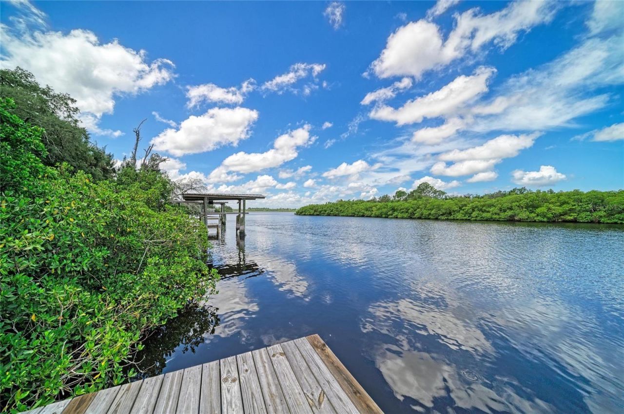 1609 Saffold Park Drive , Ruskin, FL 33570 Photo