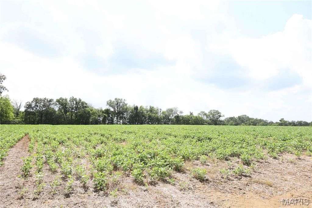 Off Pcr 914 Lot 16 , Perryville, MO 63775 Main Photo
