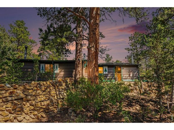 360 Ski Rd E, Allenspark, CO 80510