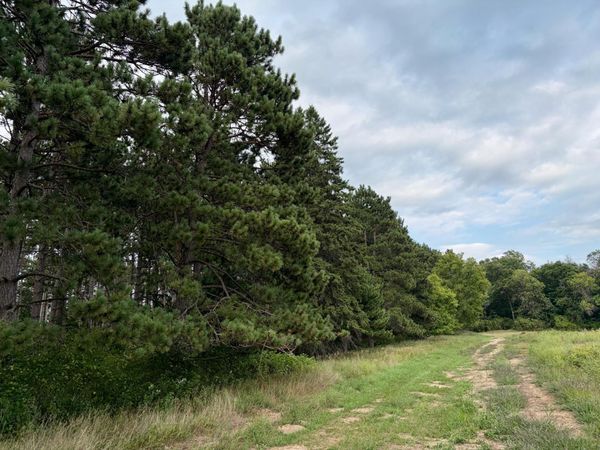 (Lot 2) TBD Tulip Street NW, Stanchfield, MN 55080
