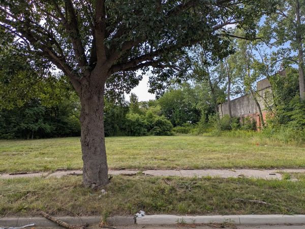 3821 McGraw Avenue, Detroit, MI 48208