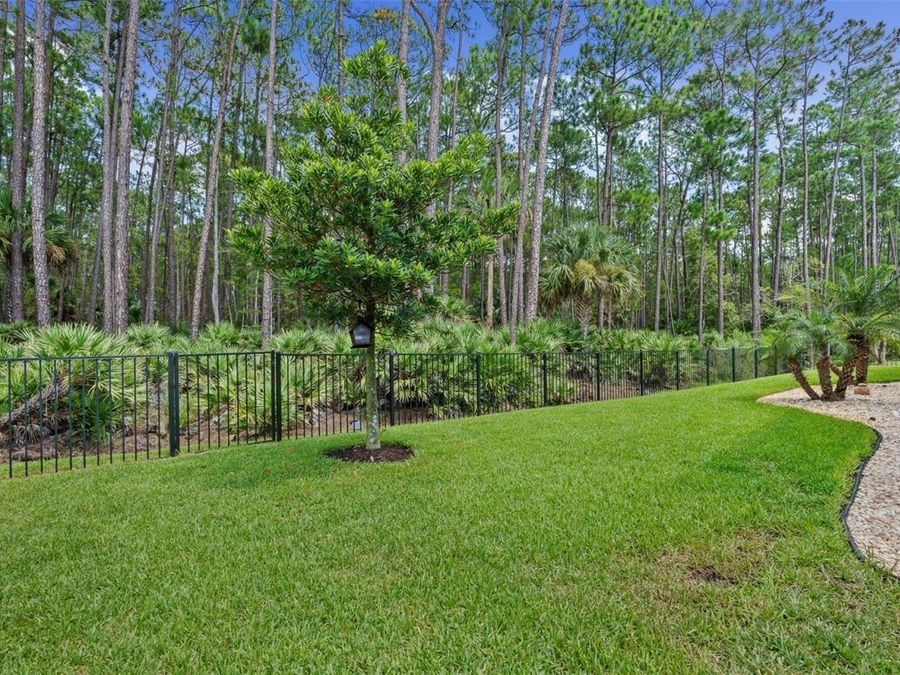 Property Image 65