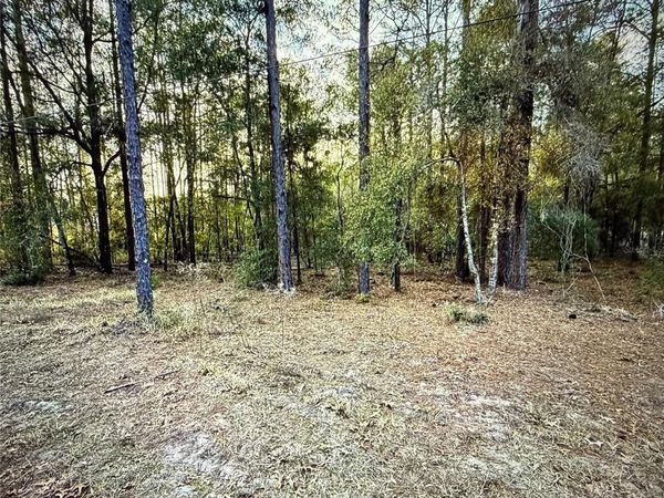 SW 205TH CIRCLE , DUNNELLON, FL 34431