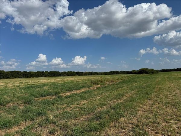 Tract 8, 13.103 Acres County Rd 3700 , Leonard, TX 75452