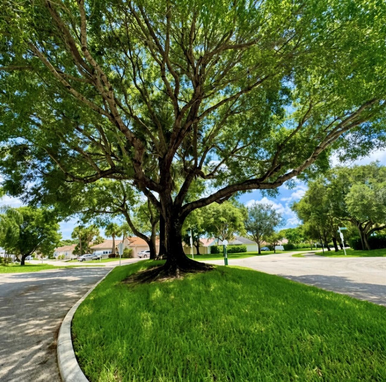 10160 Festival Way, Boca Raton, FL 33428 Photo