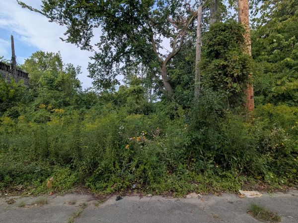 5631 McKinley Street, Detroit, MI 48208