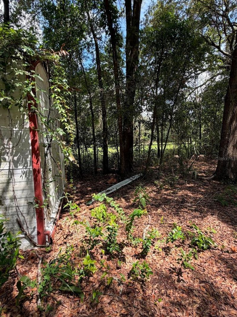 427 Polk Avenue , Orange Park, FL 32065 Photo
