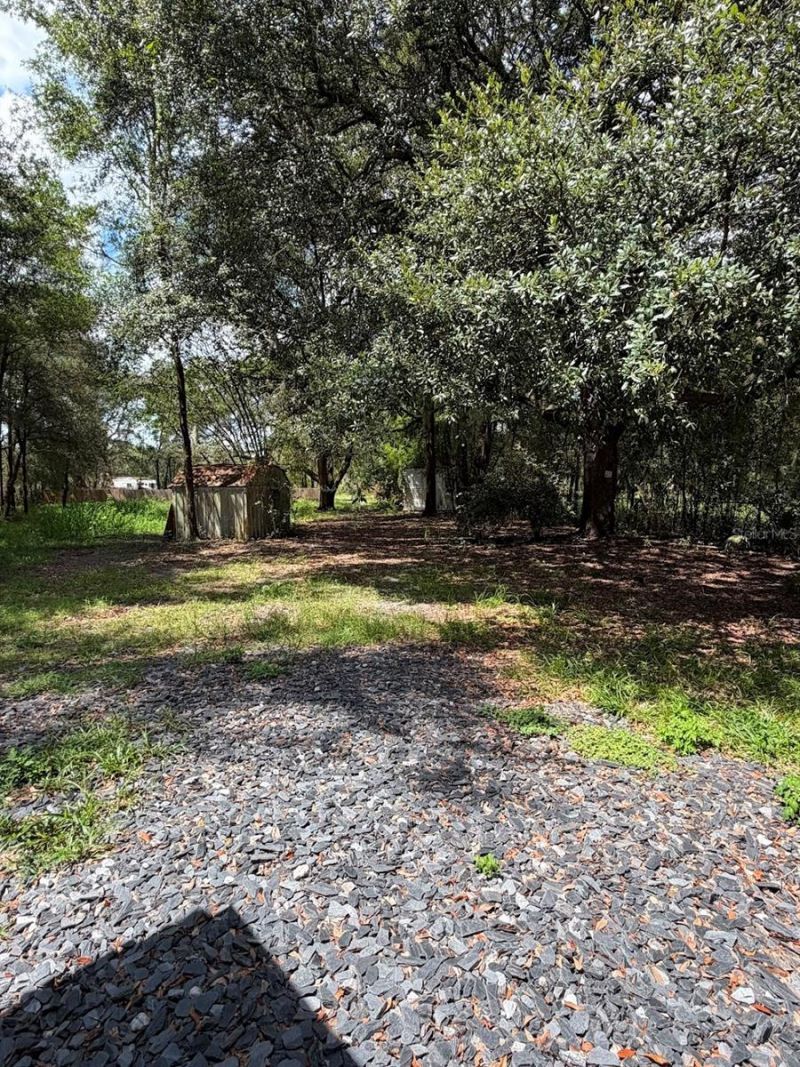 427 Polk Avenue , Orange Park, FL 32065 Photo