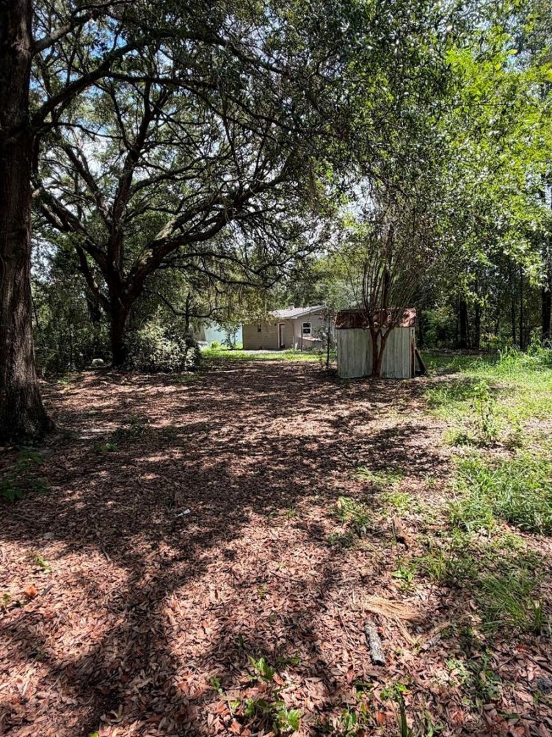 427 Polk Avenue , Orange Park, FL 32065 Photo