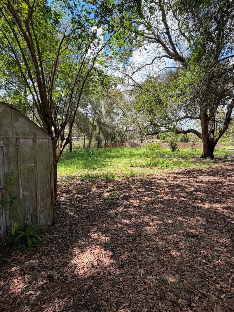 427 Polk Avenue , Orange Park, FL 32065 Photo