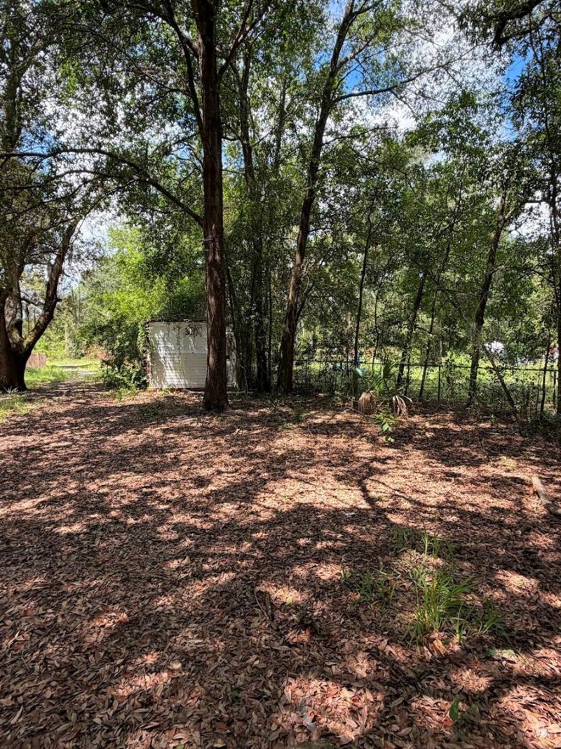 427 Polk Avenue , Orange Park, FL 32065 Photo