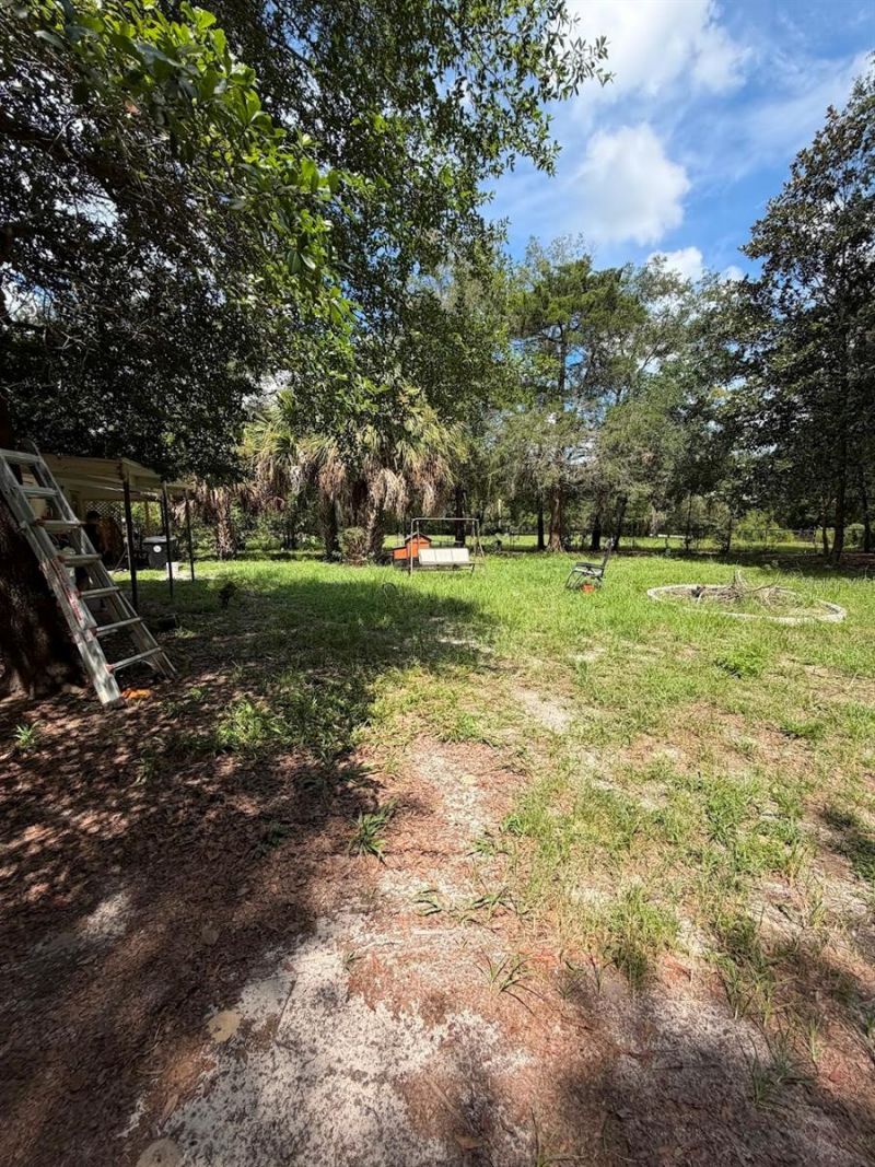 427 Polk Avenue , Orange Park, FL 32065 Photo