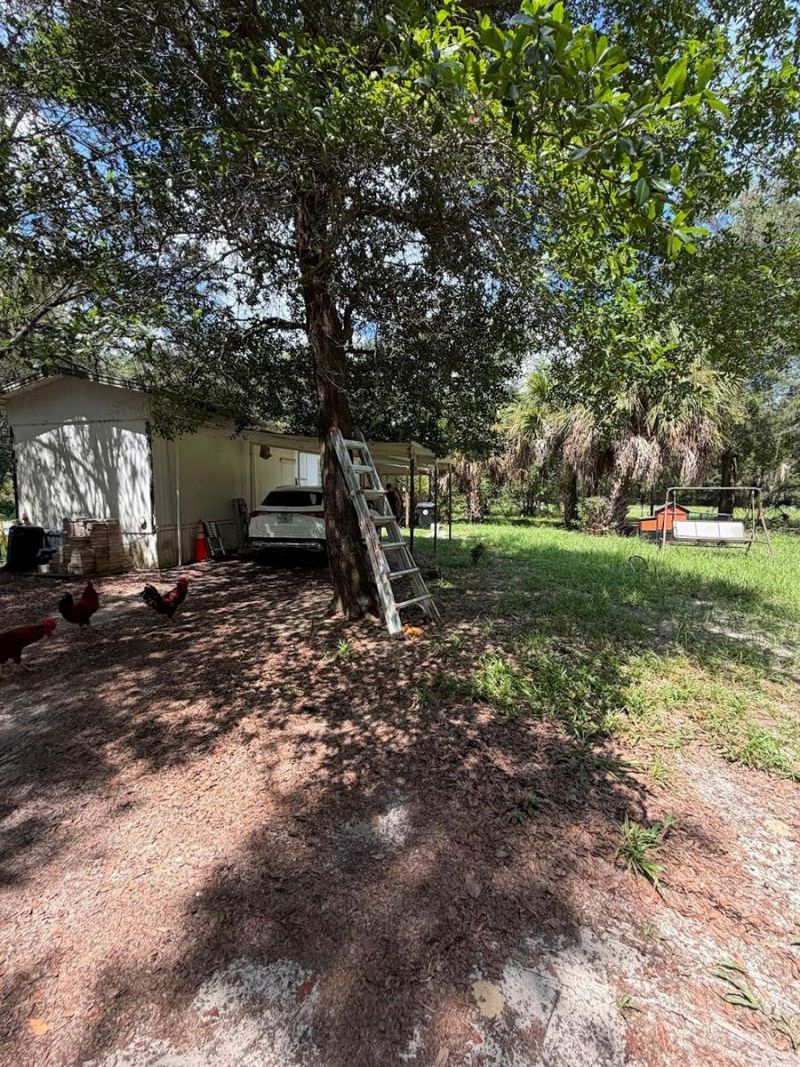427 Polk Avenue , Orange Park, FL 32065 Photo
